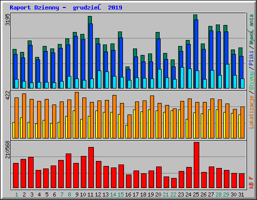Raport Dzienny -  grudzień 2019