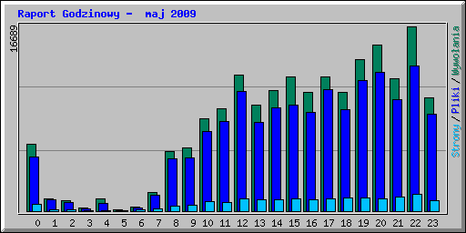 Raport Godzinowy -  maj 2009
