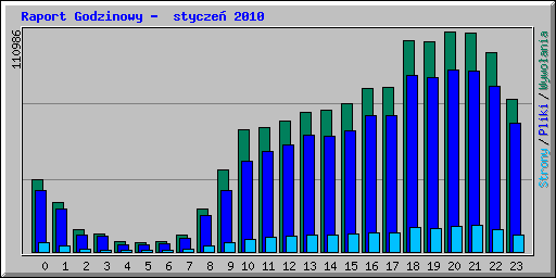 Raport Godzinowy -  stycze� 2010