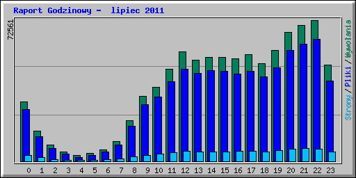 Raport Godzinowy -  lipiec 2011