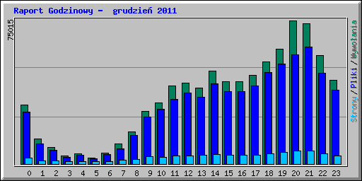 Raport Godzinowy -  grudzie� 2011