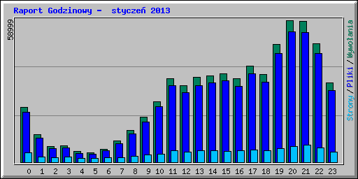 Raport Godzinowy -  stycze� 2013