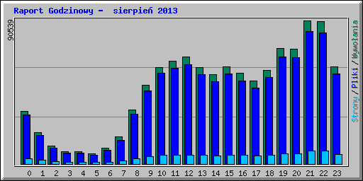 Raport Godzinowy -  sierpie� 2013