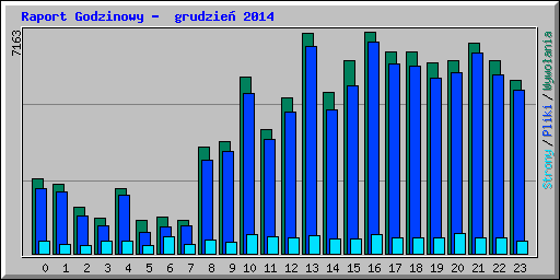 Raport Godzinowy -  grudzie� 2014