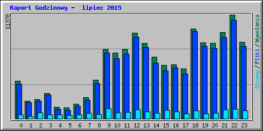 Raport Godzinowy -  lipiec 2015