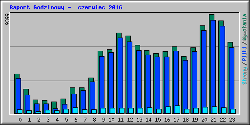Raport Godzinowy -  czerwiec 2016