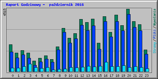 Raport Godzinowy -  pa�dziernik 2016