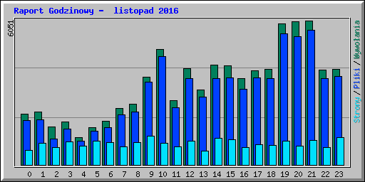 Raport Godzinowy -  listopad 2016