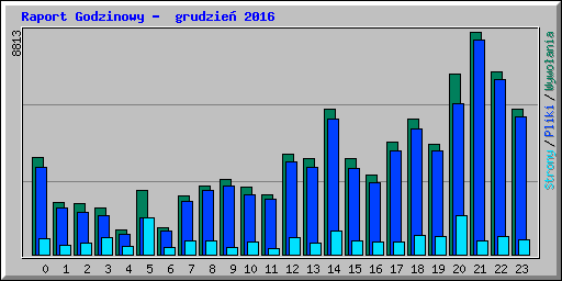 Raport Godzinowy -  grudzie� 2016