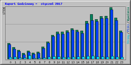 Raport Godzinowy -  stycze� 2017