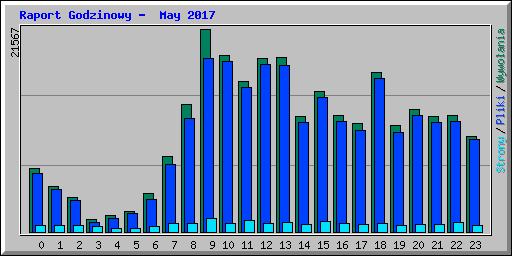 Raport Godzinowy -  May 2017