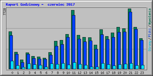 Raport Godzinowy -  czerwiec 2017