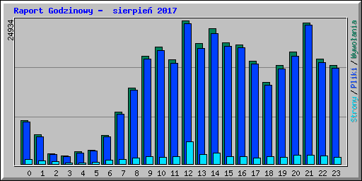 Raport Godzinowy -  sierpie� 2017