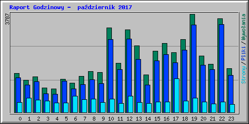 Raport Godzinowy -  pa�dziernik 2017
