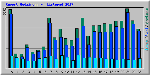 Raport Godzinowy -  listopad 2017