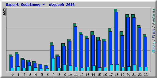 Raport Godzinowy -  stycze� 2018