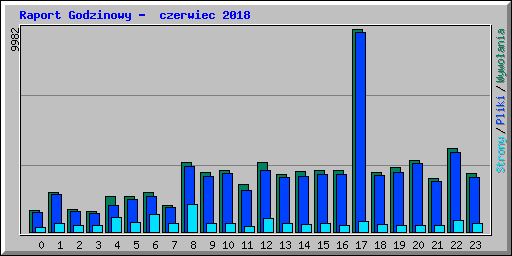 Raport Godzinowy -  czerwiec 2018
