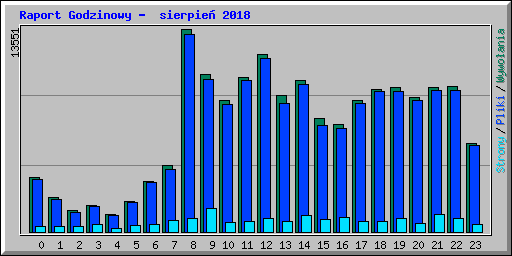 Raport Godzinowy -  sierpie� 2018