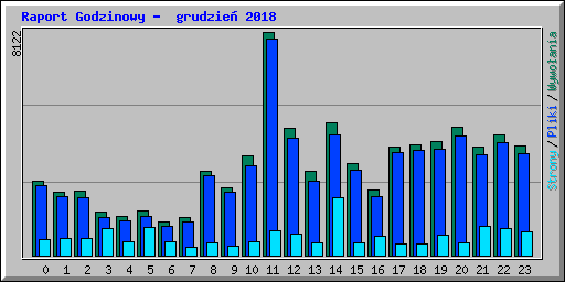 Raport Godzinowy -  grudzie� 2018