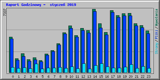 Raport Godzinowy -  stycze� 2019