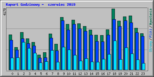 Raport Godzinowy -  czerwiec 2019