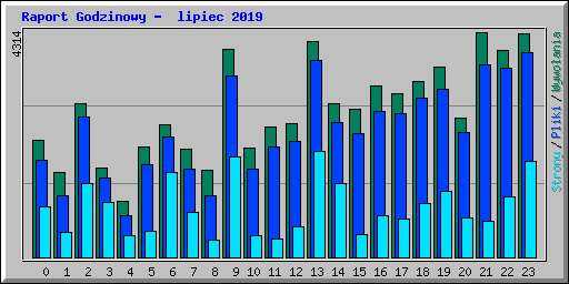 Raport Godzinowy -  lipiec 2019