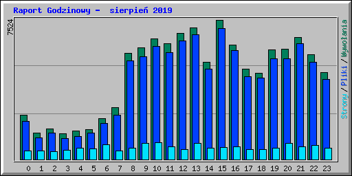 Raport Godzinowy -  sierpie� 2019