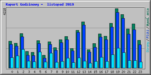 Raport Godzinowy -  listopad 2019