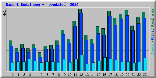 Raport Godzinowy -  grudzień 2019