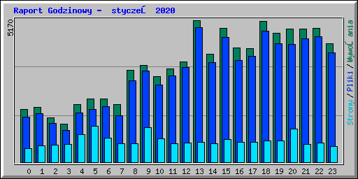 Raport Godzinowy -  styczeń 2020