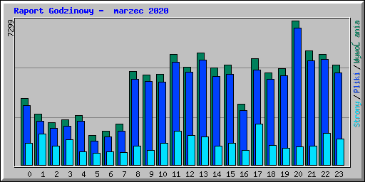 Raport Godzinowy -  marzec 2020