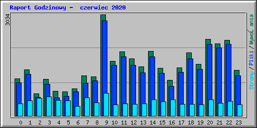 Raport Godzinowy -  czerwiec 2020