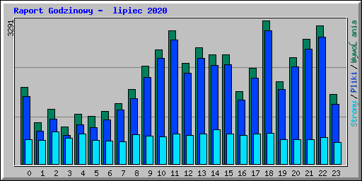 Raport Godzinowy -  lipiec 2020