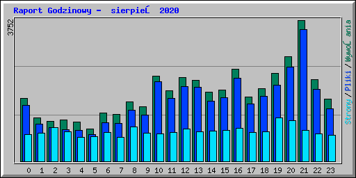 Raport Godzinowy -  sierpień 2020