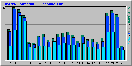 Raport Godzinowy -  listopad 2020