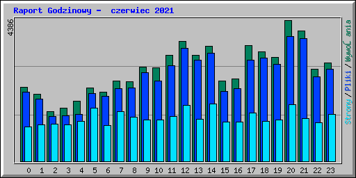 Raport Godzinowy -  czerwiec 2021