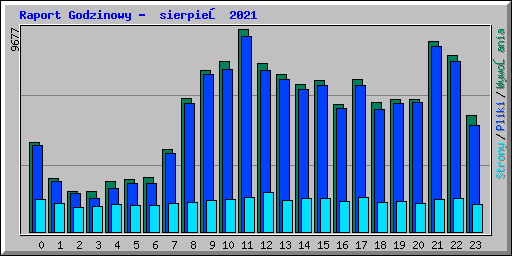 Raport Godzinowy -  sierpień 2021