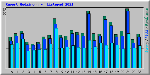 Raport Godzinowy -  listopad 2021