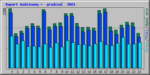 Raport Godzinowy -  grudzień 2021