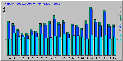 Raport Godzinowy -  styczeń 2022