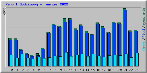 Raport Godzinowy -  marzec 2022