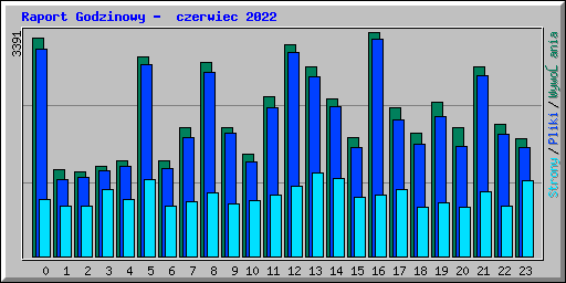 Raport Godzinowy -  czerwiec 2022