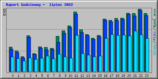 Raport Godzinowy -  lipiec 2022