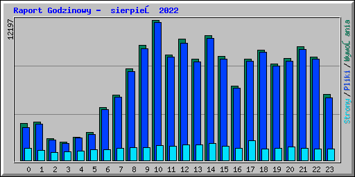 Raport Godzinowy -  sierpień 2022