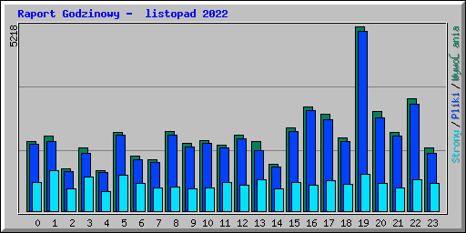 Raport Godzinowy -  listopad 2022