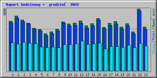 Raport Godzinowy -  grudzień 2022