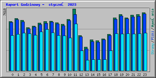 Raport Godzinowy -  styczeń 2023