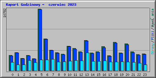 Raport Godzinowy -  czerwiec 2023