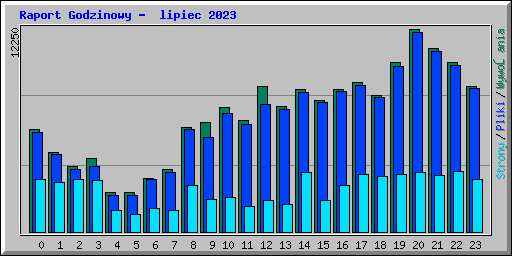 Raport Godzinowy -  lipiec 2023