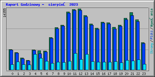 Raport Godzinowy -  sierpień 2023